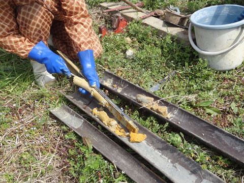 黄土色の粘土質のサンプル